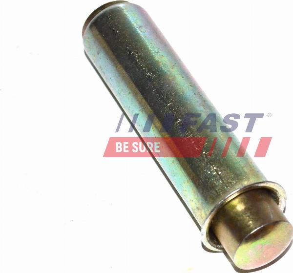 Fast FT44081 - Натяжна ролик, ремінь ГРМ autocars.com.ua