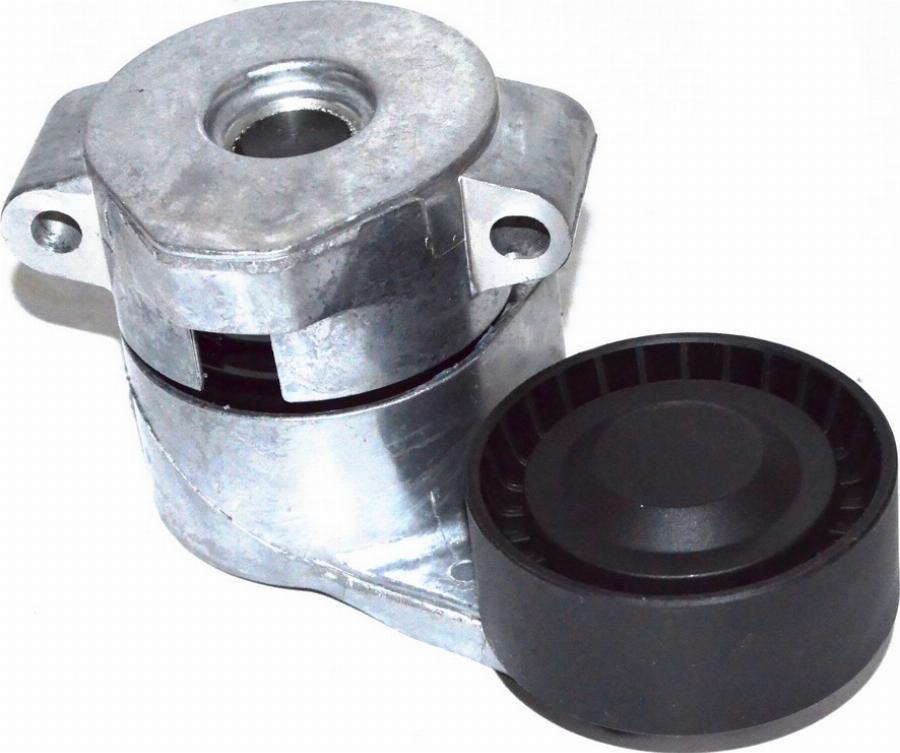 Fast FT44597 - Натягувач ременя, клинові зуб. autocars.com.ua