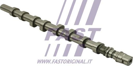 Fast FT45077 - Шток autocars.com.ua