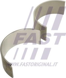 Fast FT46317/1 - Шатуни підшипник autocars.com.ua