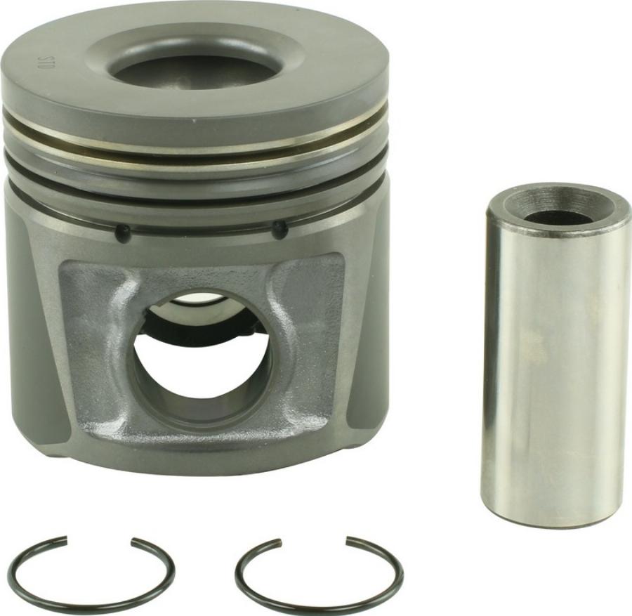 Fast FT47123/4 - Поршень autocars.com.ua