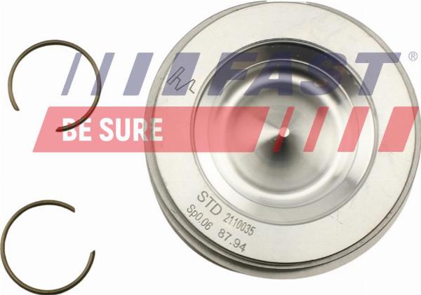 Fast FT47131/0 - Поршень autocars.com.ua