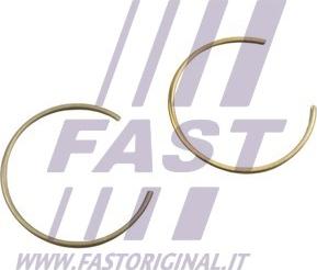 Fast FT47133/0 - Поршень autocars.com.ua