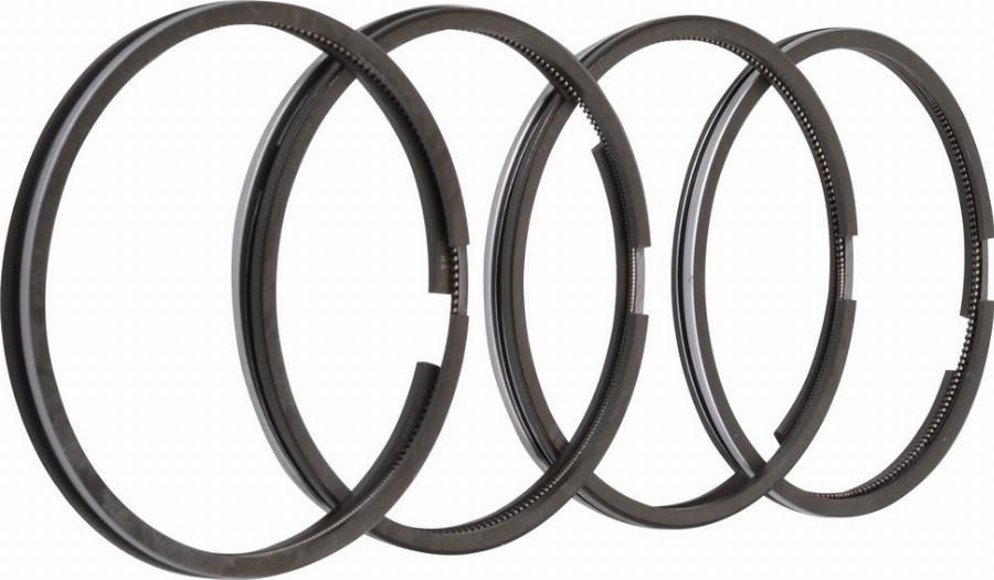 Fast FT47309/0 - Комплект поршневих кілець autocars.com.ua