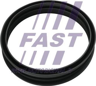 Fast FT48501 - Прокладка паливного бака Fiat Punto-VW Golf IV-Polo  autocars.com.ua