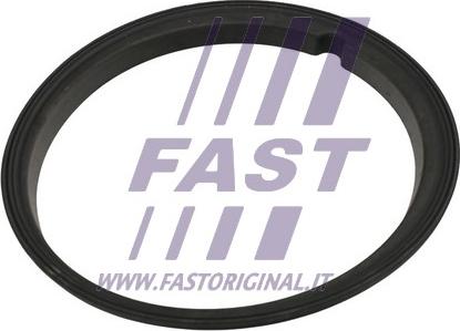 Fast FT48502 - Прокладка, датчик рівня палива autocars.com.ua