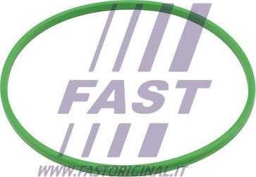 Fast FT48503 - Прокладка, паливний насос autocars.com.ua