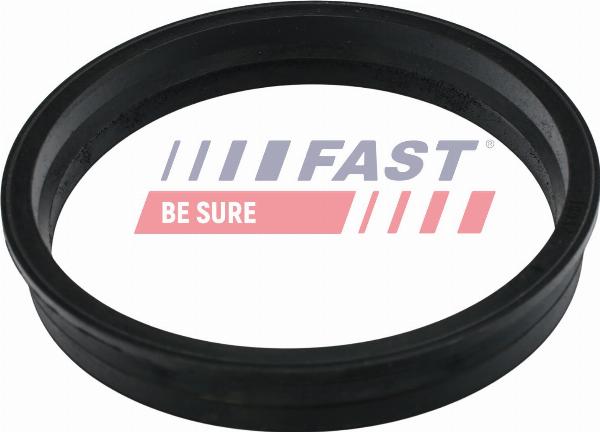 Fast FT48505 - Прокладка, датчик рівня палива autocars.com.ua