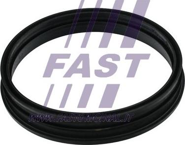 Fast FT48505 - Прокладка, датчик уровня топлива autodnr.net