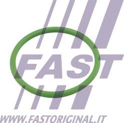 Fast FT48803 - Прокладка, впуск в турбіну (компресор) autocars.com.ua