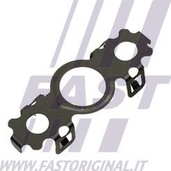 Fast FT48811 - Уплотнительное кольцо, выпуск масла (компрессор) avtokuzovplus.com.ua