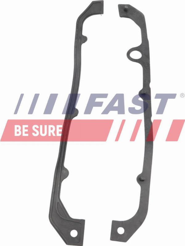 Fast FT48911 - Комплект прокладок, масляний піддон autocars.com.ua