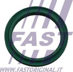 Fast FT48933 - Кільце ущільнювача, трубка, що нагнітається autocars.com.ua