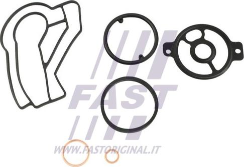 Fast FT48939 - Прокладка масляного радіатора VW CRAFTER 2.5TDI 06-13 autocars.com.ua