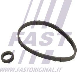 Fast FT48952 - Прокладка, масляний радіатор autocars.com.ua