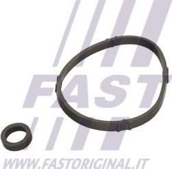 Fast FT48952 - Прокладка корпуса масляного фільтра Citroen Berlingo. Berlingo Multispace. C2. C3 I. C3 Ii. C3 Pluriel. C4. C4 I. Nemo. Saxo. Xs autocars.com.ua