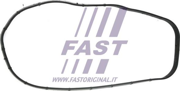 Fast FT49065 - Прокладка кришки двигуна IVECO DAILY 3.0D 04- FIAT DUCATO 3.0D 06- CITRO?N JUMPER 3.0HDi 06- autocars.com.ua