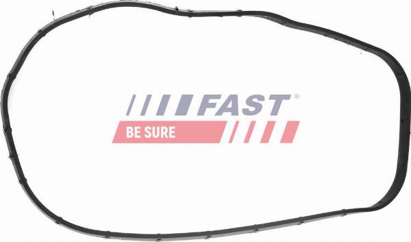 Fast FT49065 - Прокладка, картер рульового механізму autocars.com.ua