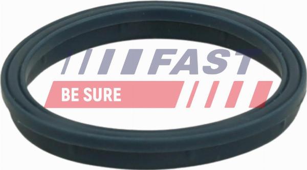 Fast FT49407 - Прокладка, впускний колектор autocars.com.ua