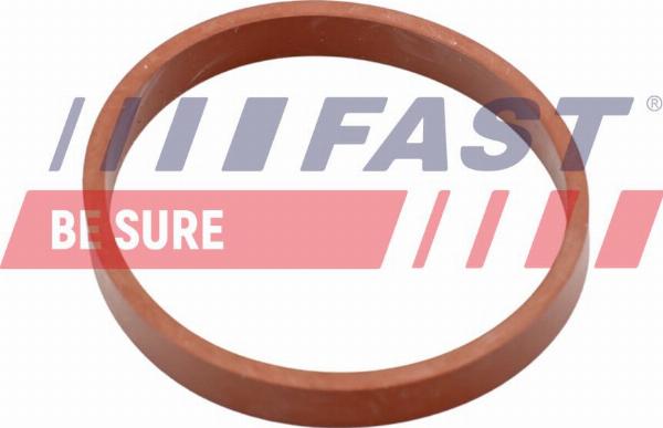 Fast FT49418 - Прокладка, впускний колектор autocars.com.ua