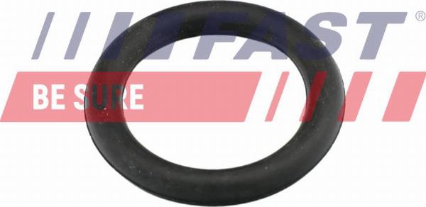 Fast FT49419 - Прокладка, впускний колектор autocars.com.ua