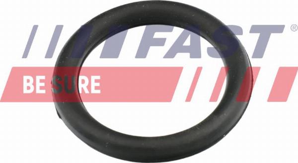 Fast FT49420 - Прокладка, впускний колектор autocars.com.ua