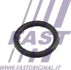 Fast FT49420 - Прокладка, впускний колектор autocars.com.ua