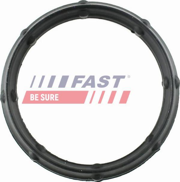 Fast FT49424 - Прокладка, впускний колектор autocars.com.ua