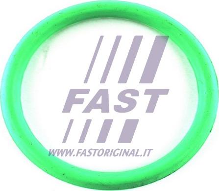 Fast FT49434 - Прокладка Колектора Fiat Fiorino 07 Впускний 1.4 autocars.com.ua