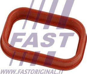 Fast FT49435 - Прокладка, впускний колектор autocars.com.ua