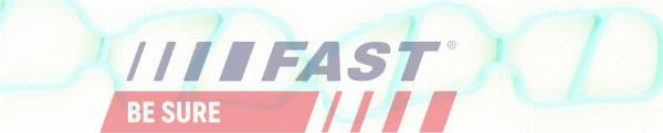 Fast FT49436 - Прокладка, впускний колектор autocars.com.ua
