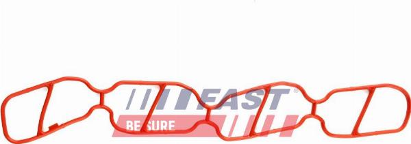 Fast FT49439 - Прокладка, впускний колектор autocars.com.ua
