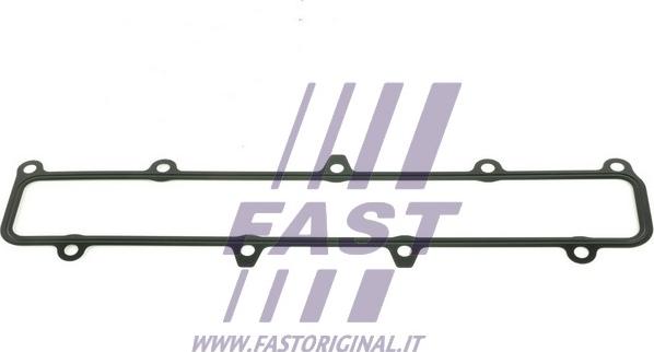 Fast FT49541 - Прокладка, впускной коллектор avtokuzovplus.com.ua