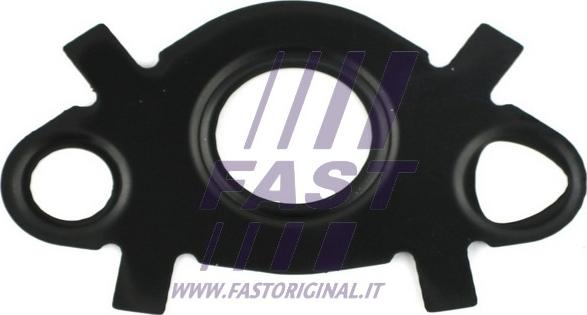 Fast FT49547 - Прокладка, масляний радіатор autocars.com.ua
