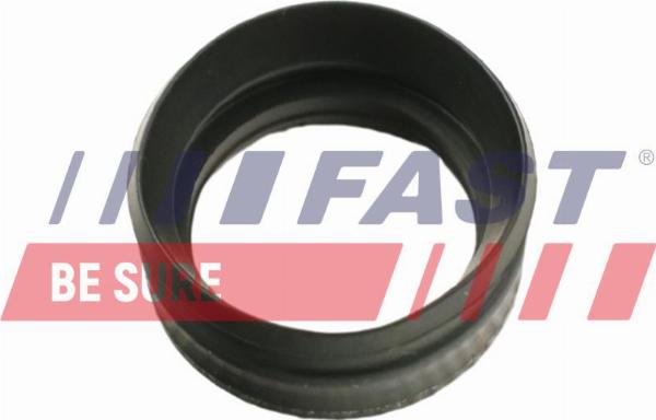 Fast FT49656 - Комплект прокладок, форсунка autocars.com.ua