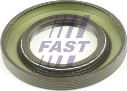 Fast FT49708 - Ущільнене кільце, диференціал autocars.com.ua