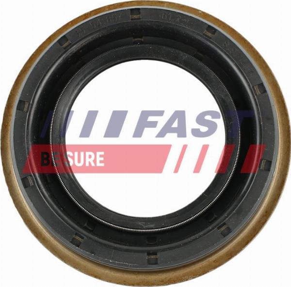Fast FT49717 - Ущільнене кільце, диференціал autocars.com.ua