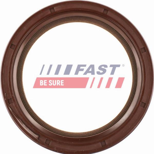 Fast FT49757 - Ущільнене кільце, диференціал autocars.com.ua