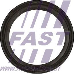 Fast FT49819 - Уплотняющее кольцо, коленчатый вал autodnr.net