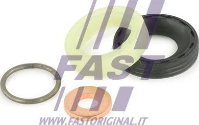Fast FT49842 - Комплект прокладок, форсунка autodnr.net