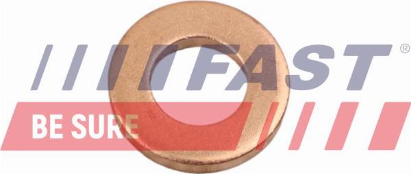 Fast FT49846 - Прокладка, корпус форсунки autocars.com.ua