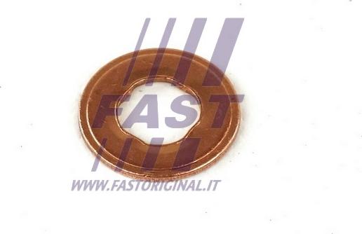 Fast FT49847 - Прокладка, корпус форсунки autocars.com.ua