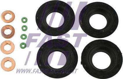 Fast FT49850 - Комплект прокладок, форсунка autocars.com.ua