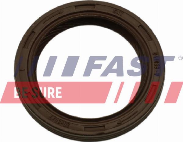 Fast FT49852 - Ущільнене кільце, диференціал autocars.com.ua