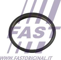 Fast FT49853 - Прокладка, вакуумный насос autodnr.net