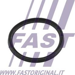 Fast FT49854 - Кільце ущільнювача, компресор autocars.com.ua