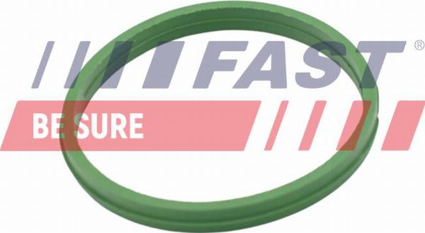 Fast FT49855 - Кільце ущільнювача, нарізна пробка мастилозливного  отвору autocars.com.ua