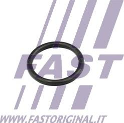 Fast FT49856 - Прокладка, фланець охолоджуючої рідини autocars.com.ua