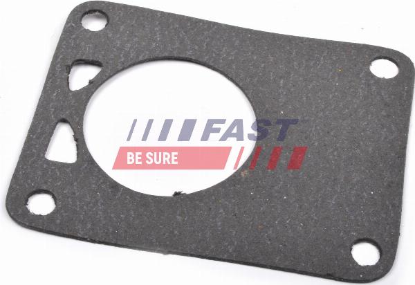 Fast FT49901 - Прокладка, вакуумний насос autocars.com.ua