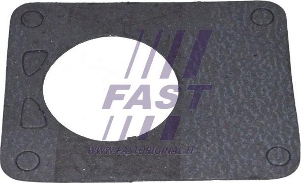 Fast FT49901 - Прокладка, вакуумний насос autocars.com.ua